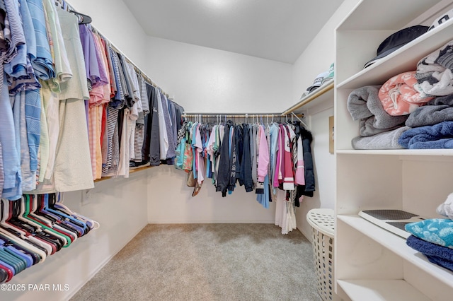 spacious closet featuring light colored carpet