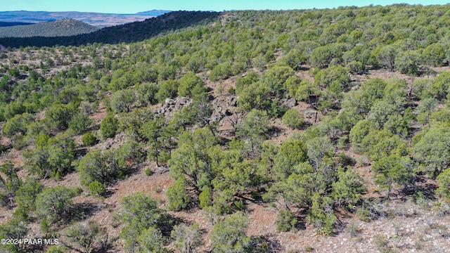 birds eye view of property featuring a mountain view