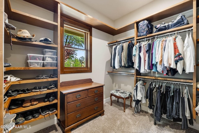 2469 W Post Oak Dr, Prescott, AZ 86305 - spacious closet with light colored carpet