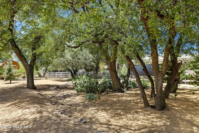 2469 W Post Oak Dr, Prescott, AZ 86305 - view of yard