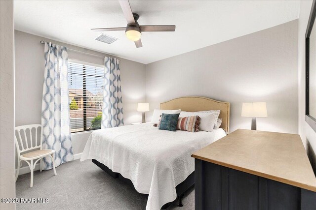 1228 Sarafina Dr, Prescott, AZ 86301 - photo 21