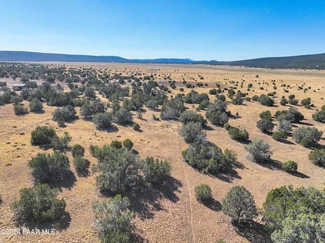 drone / aerial view featuring a mountain view