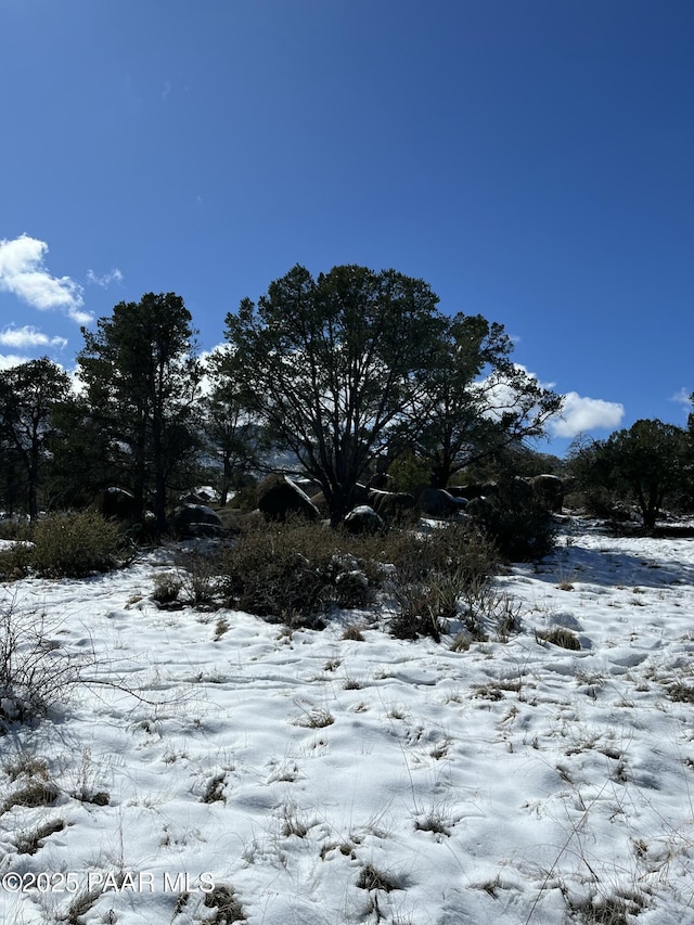 4430 W Pointer Mountain Cir, Prescott, AZ 86305 - photo 29