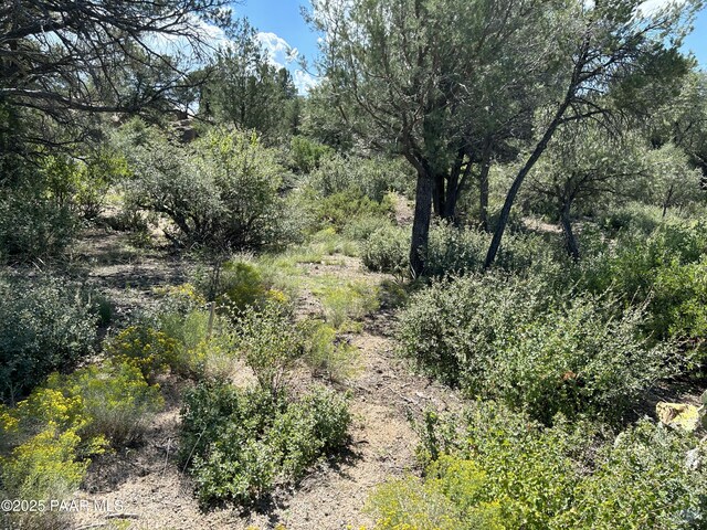 4430 W Pointer Mountain Cir, Prescott, AZ 86305 - photo 37
