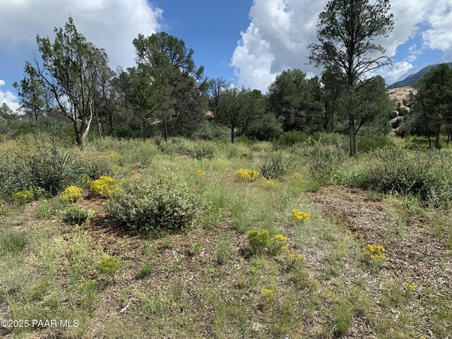 4430 W Pointer Mountain Cir, Prescott, AZ 86305 - photo 36