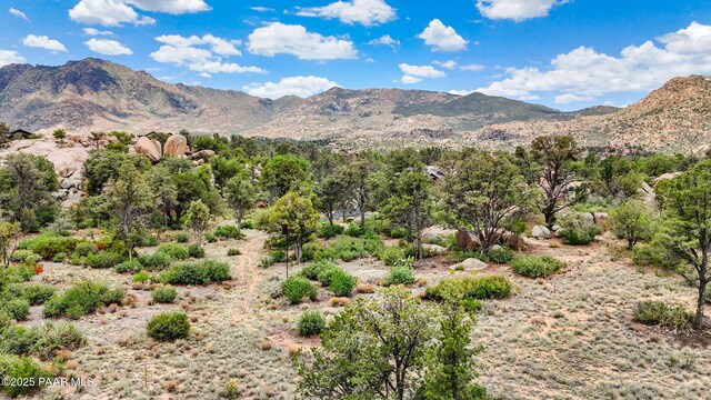 4430 W Pointer Mountain Cir, Prescott, AZ 86305 - photo 16