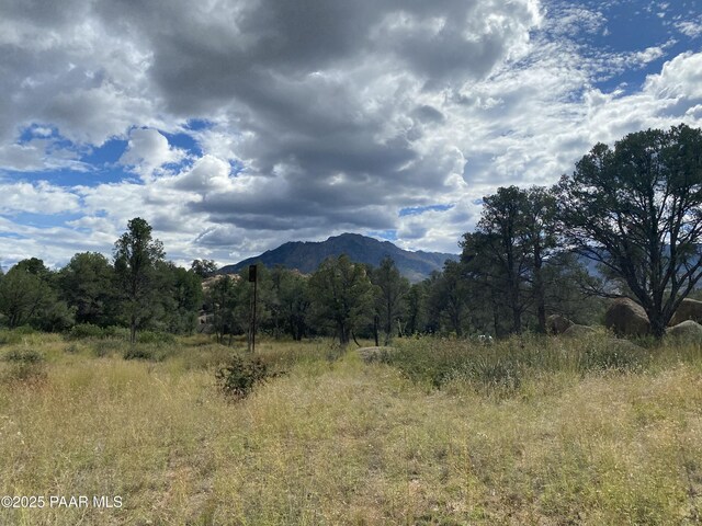 4430 W Pointer Mountain Cir, Prescott, AZ 86305 - photo 19