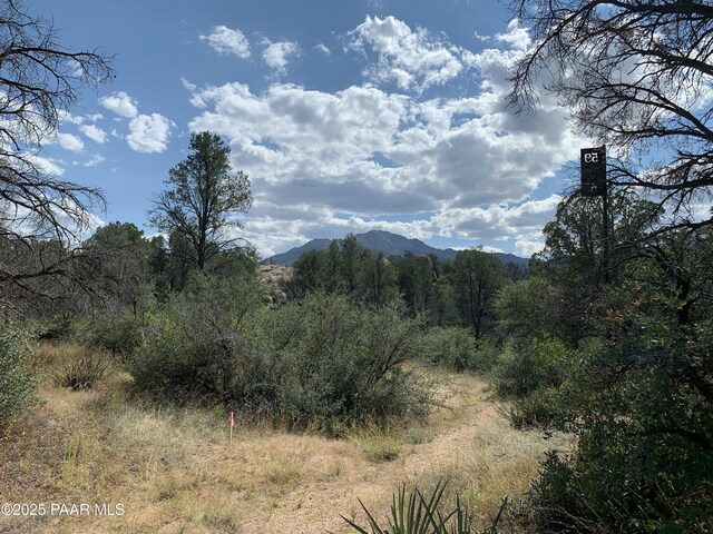 4430 W Pointer Mountain Cir, Prescott, AZ 86305 - photo 23