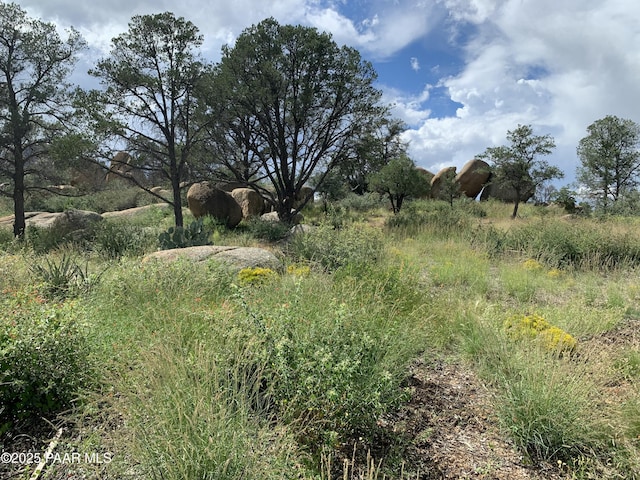 4430 W Pointer Mountain Cir, Prescott, AZ 86305 - photo 34