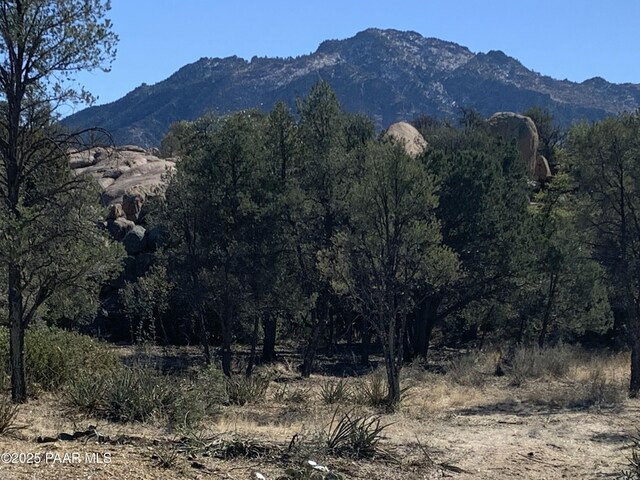 4430 W Pointer Mountain Cir, Prescott, AZ 86305 - photo 26