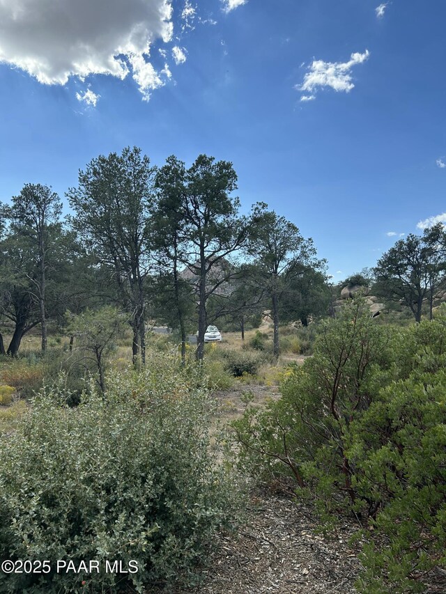 4430 W Pointer Mountain Cir, Prescott, AZ 86305 - photo 38