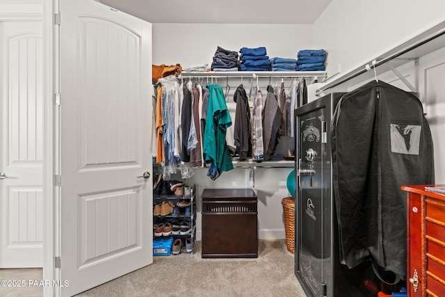 1450 Henry Dr, Chino Valley, AZ 86323 - spacious closet featuring carpet flooring