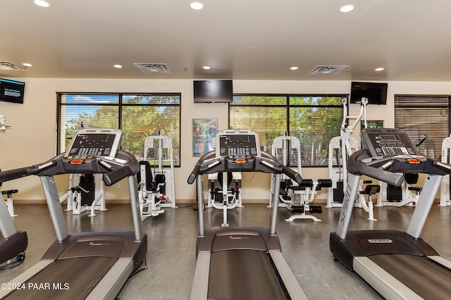 exercise room with a wealth of natural light