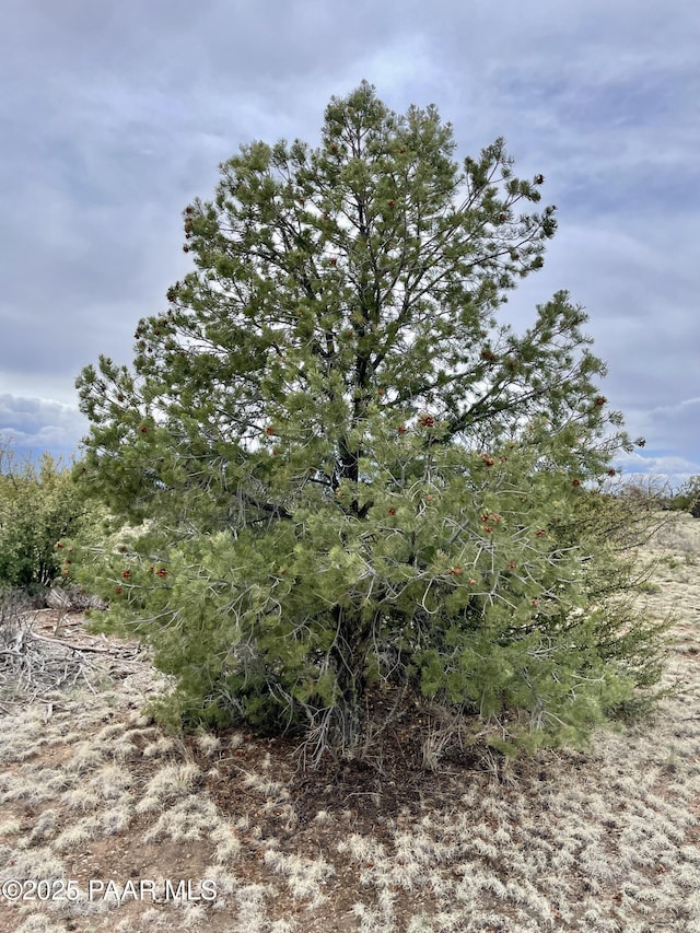 3998 Red Butte Rd, Williams, AZ 86046 - photo 14