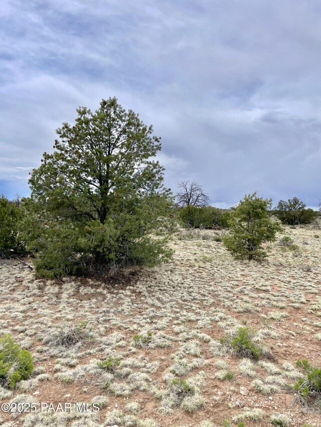 3998 Red Butte Rd, Williams, AZ 86046 - photo 15