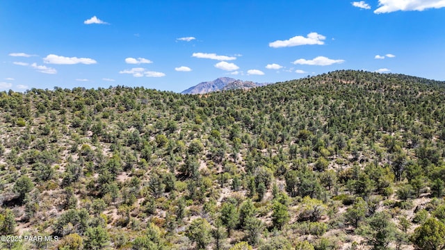 TBD6099 W Everlark A Trl, Prescott, AZ 86305 - photo 11