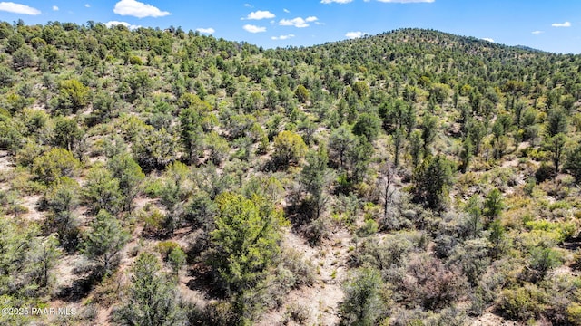TBD6099 W Everlark A Trl, Prescott, AZ 86305 - photo 14