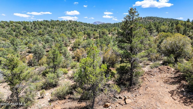 TBD6099 W Everlark A Trl, Prescott, AZ 86305 - photo 9
