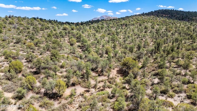 TBD6099 W Everlark A Trl, Prescott, AZ 86305 - photo 13