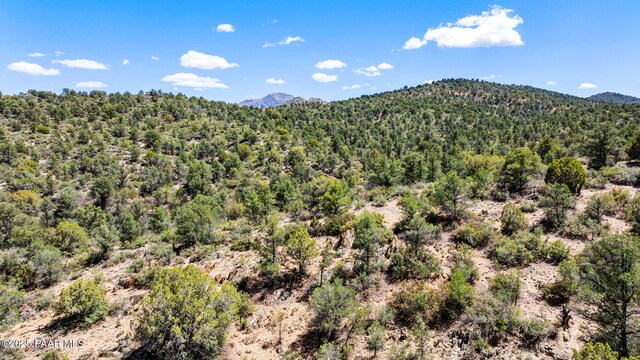 TBD6099 W Everlark A Trl, Prescott, AZ 86305 - photo 15