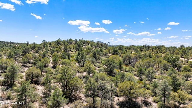 TBD6099 W Everlark A Trl, Prescott, AZ 86305 - photo 10