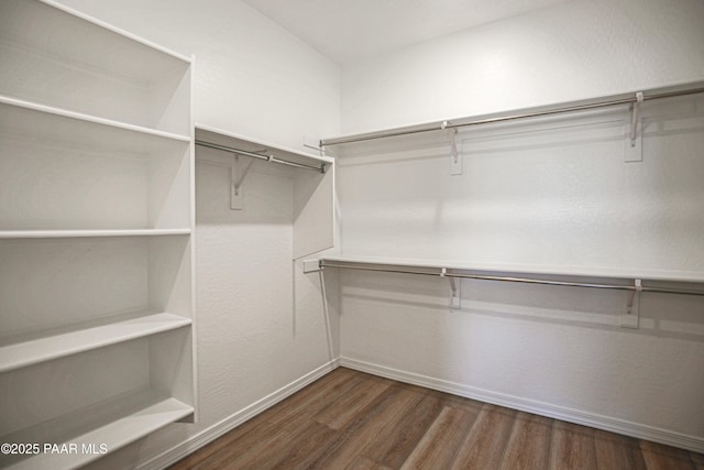 walk in closet with dark wood-style flooring