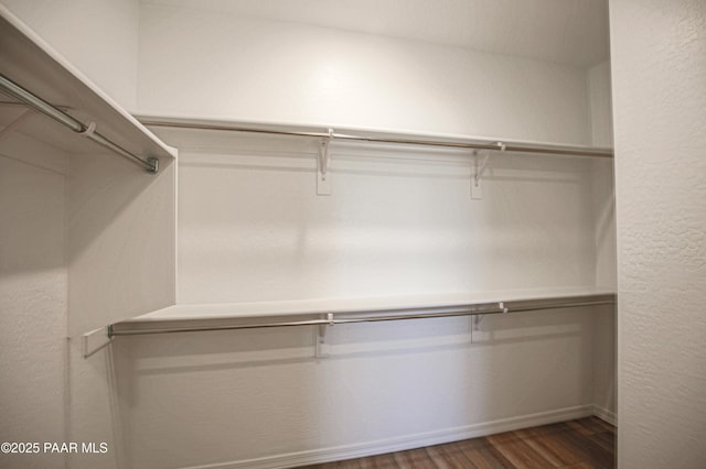 spacious closet featuring wood finished floors