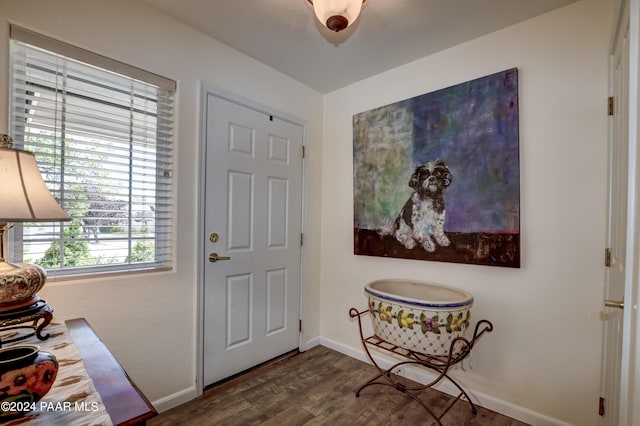 foyer entrance with wood-type flooring