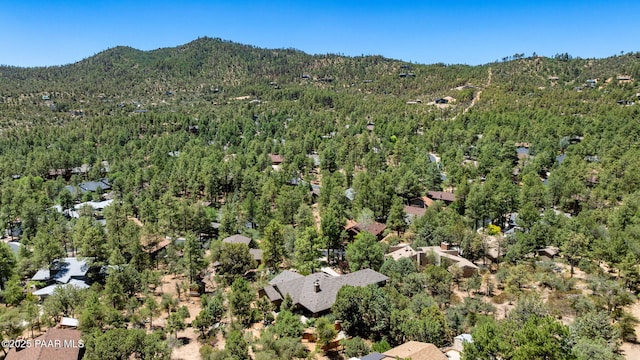 1920 Pine Tree Dr, Prescott, AZ 86303 - photo 43