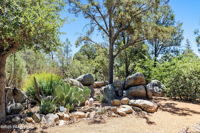 1920 Pine Tree Dr, Prescott, AZ 86303 - photo 36