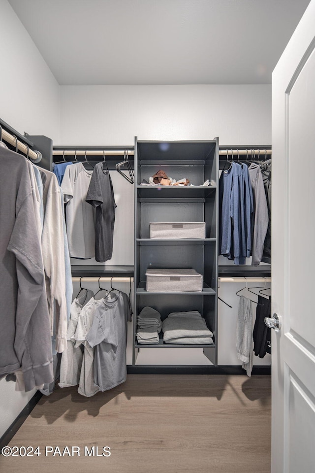 walk in closet with hardwood / wood-style flooring