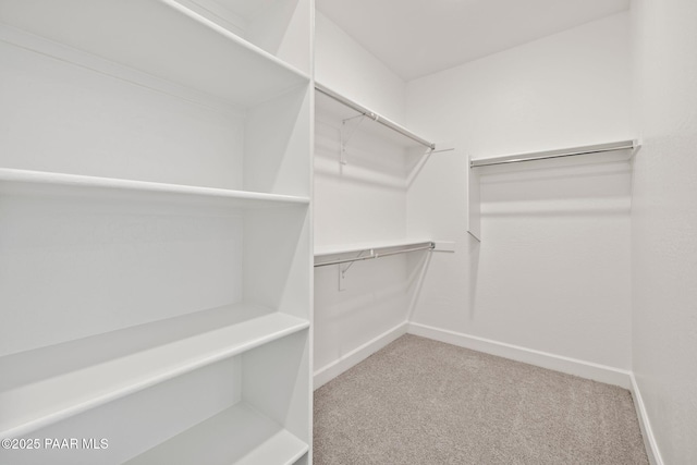 walk in closet with light carpet