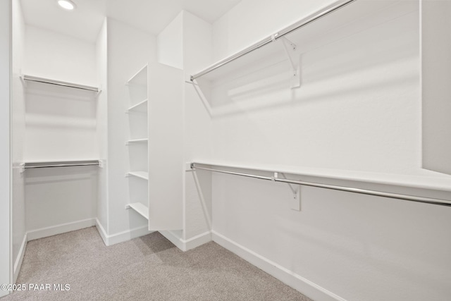 walk in closet with light colored carpet