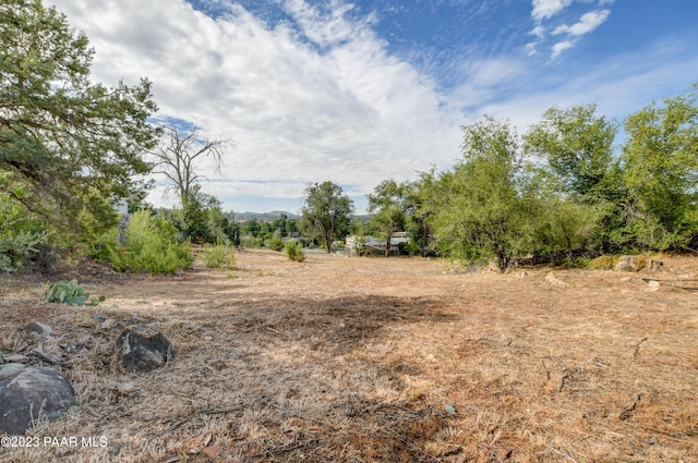 view of landscape featuring a rural view