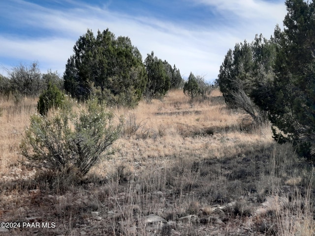 32563 W Ancho Rd, Seligman AZ, 86337 land for sale