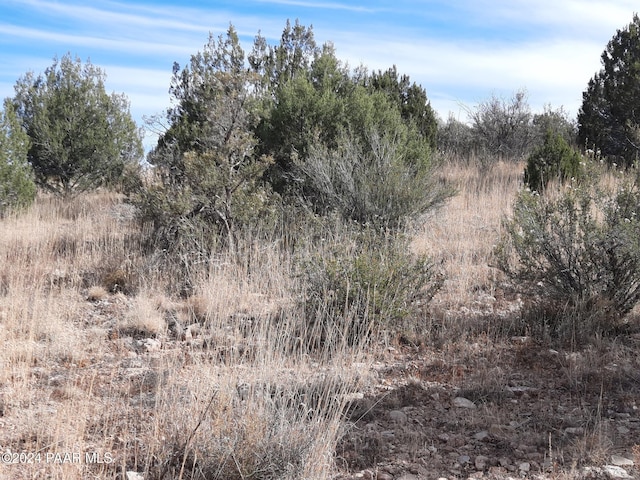32563 W Ancho Rd, Seligman, AZ 86337 - photo 2