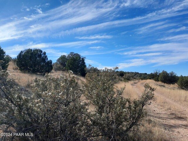 32563 W Ancho Rd, Seligman, AZ 86337 - photo 5