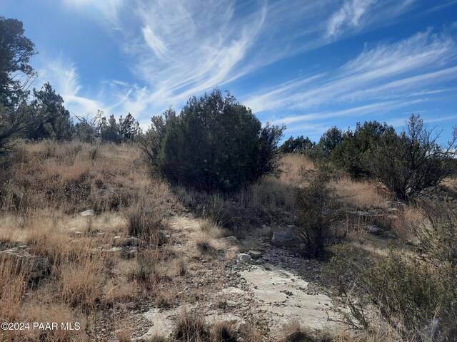32563 W Ancho Rd, Seligman, AZ 86337 - photo 4