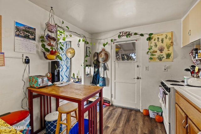 kitchen with dark wood-type flooring and white electric stove