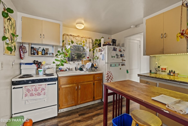 kitchen with dark hardwood / wood-style flooring, sink, and white appliances