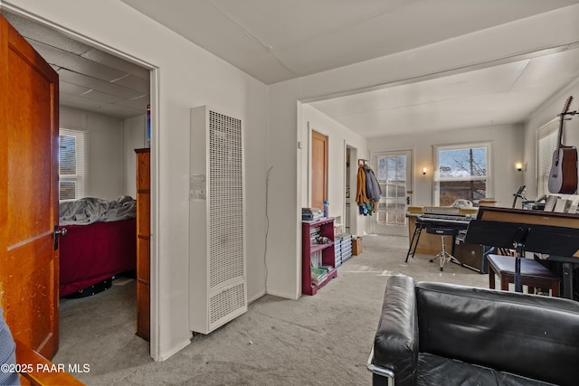 bedroom with light colored carpet