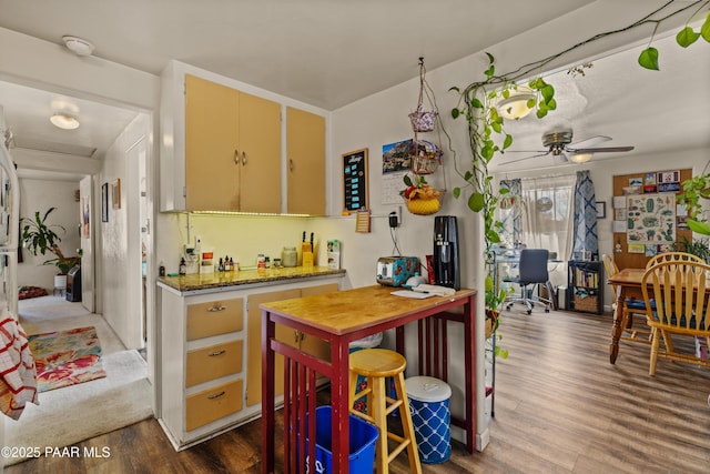 kitchen featuring wood-type flooring, light stone countertops, and ceiling fan