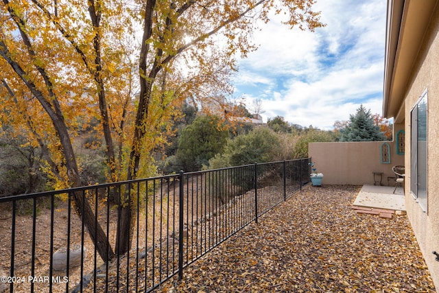 view of yard featuring a patio