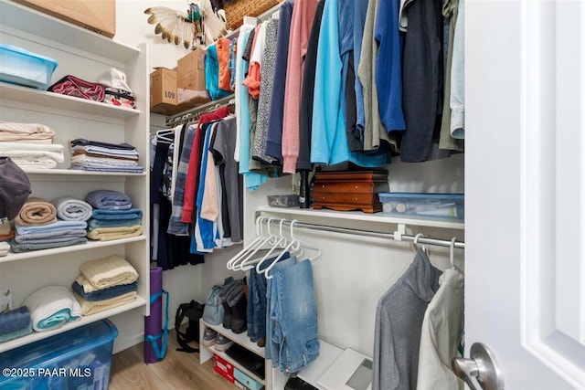 spacious closet featuring light wood-type flooring