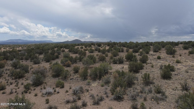 1595 E Verde Ranch Rd, Paulden, AZ 86334 - photo 3