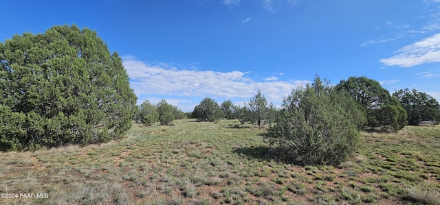 1381 W Isabella Ln, Williams AZ, 86046 land for sale