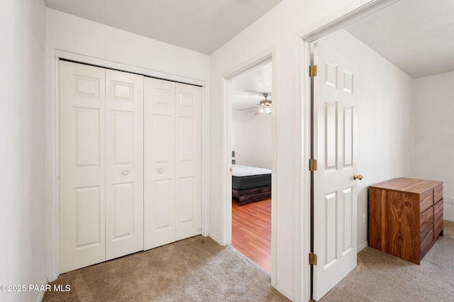 hallway with carpet