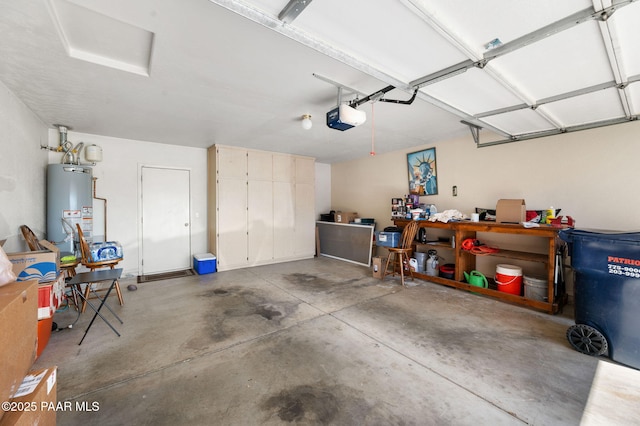 garage featuring a garage door opener and gas water heater