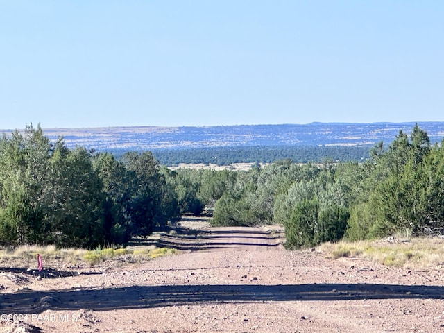 545C N Summer Rain Rd, Seligman AZ, 86337 land for sale