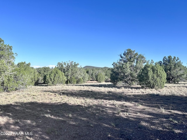 Listing photo 2 for 545C N Summer Rain Rd, Seligman AZ 86337